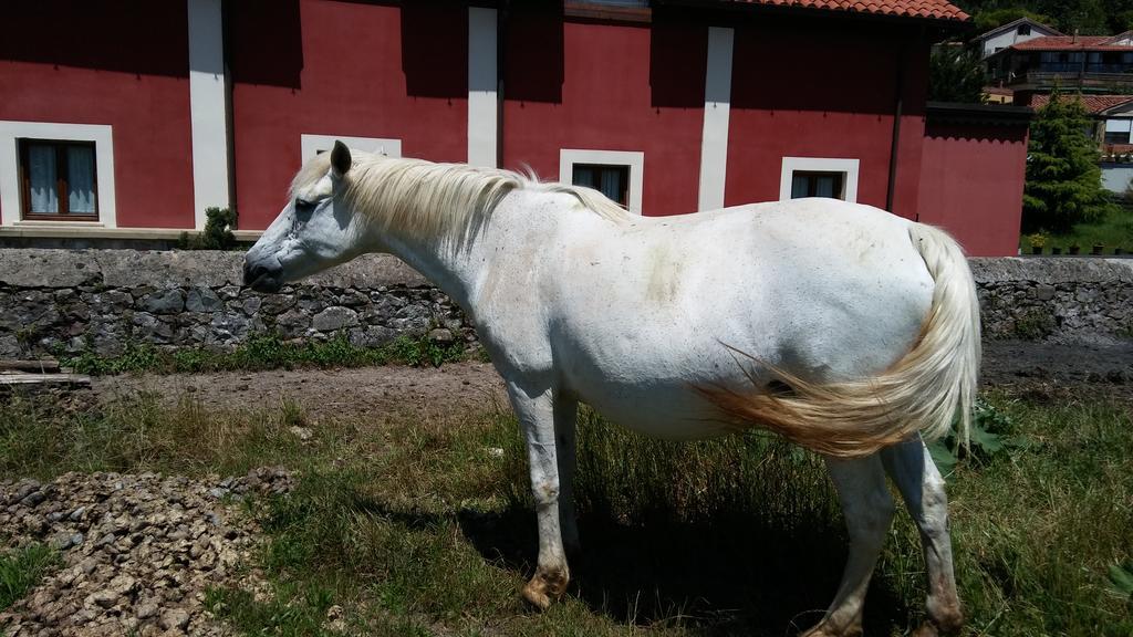 Posada Santa Eulalia Villanueva de la Peña Exteriér fotografie